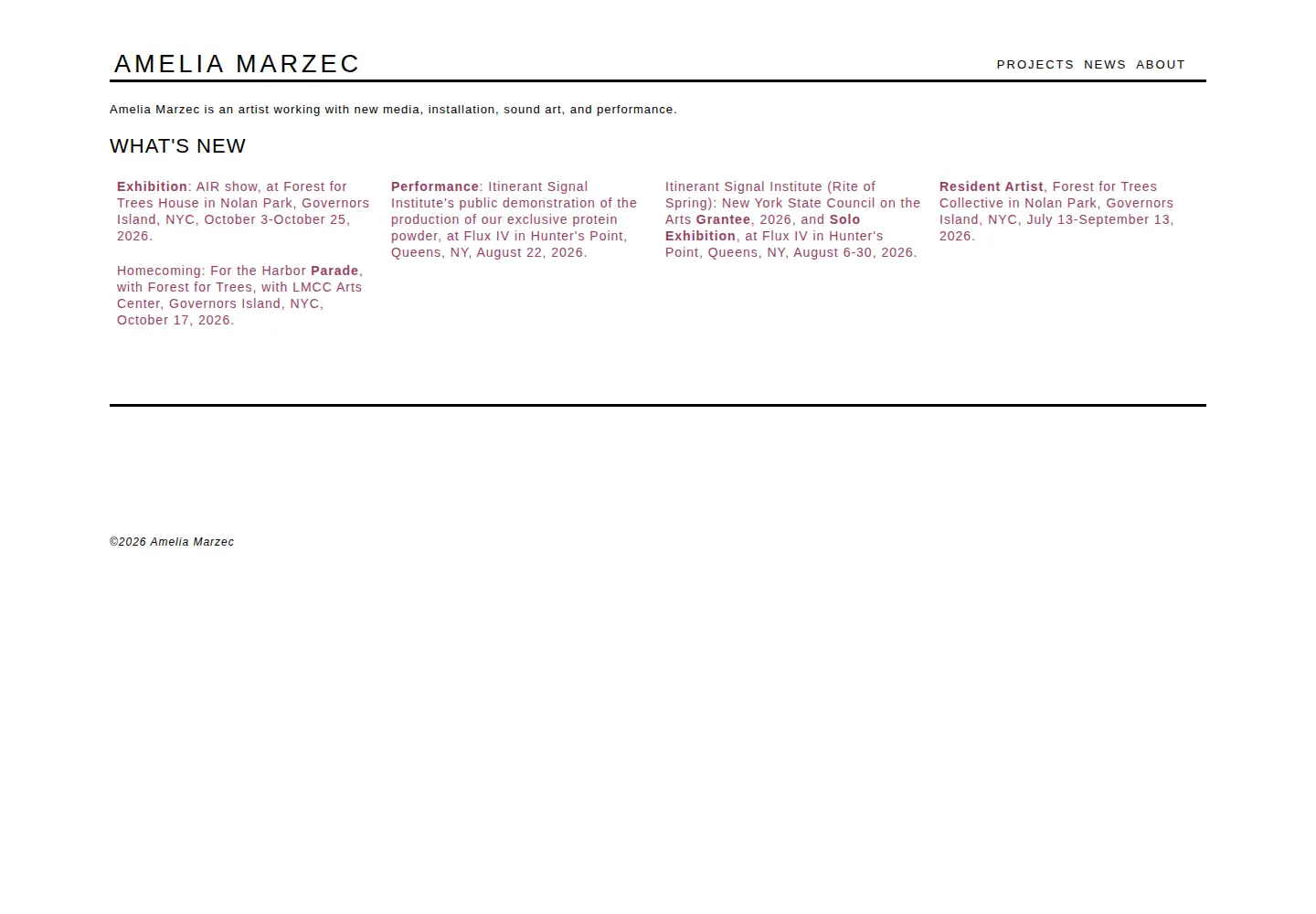 Captured homepage of ameliamarzec.com in the current scan