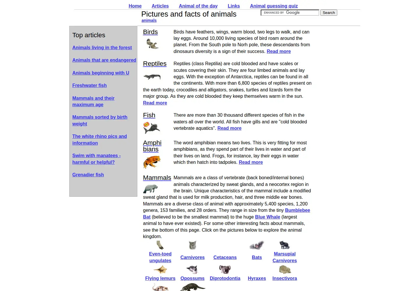 Screenshot of thewebsiteofeverything.com