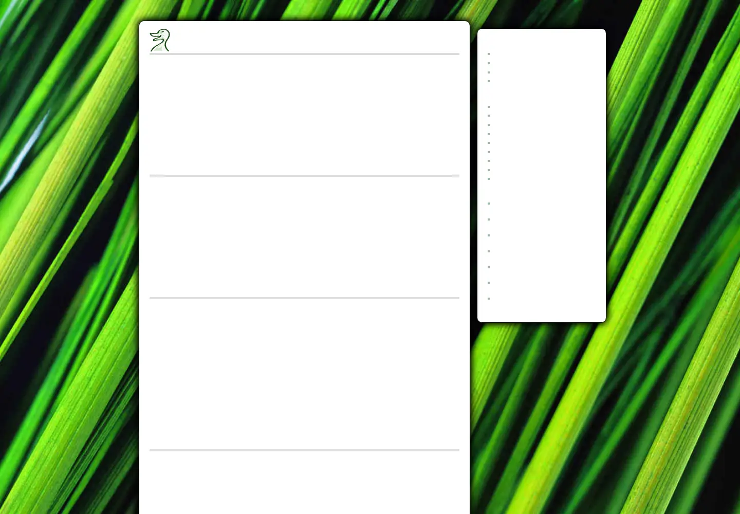 Screenshot of schnatterente.net