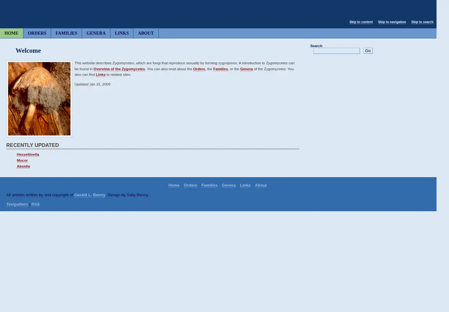Screenshot of zygomycetes.org