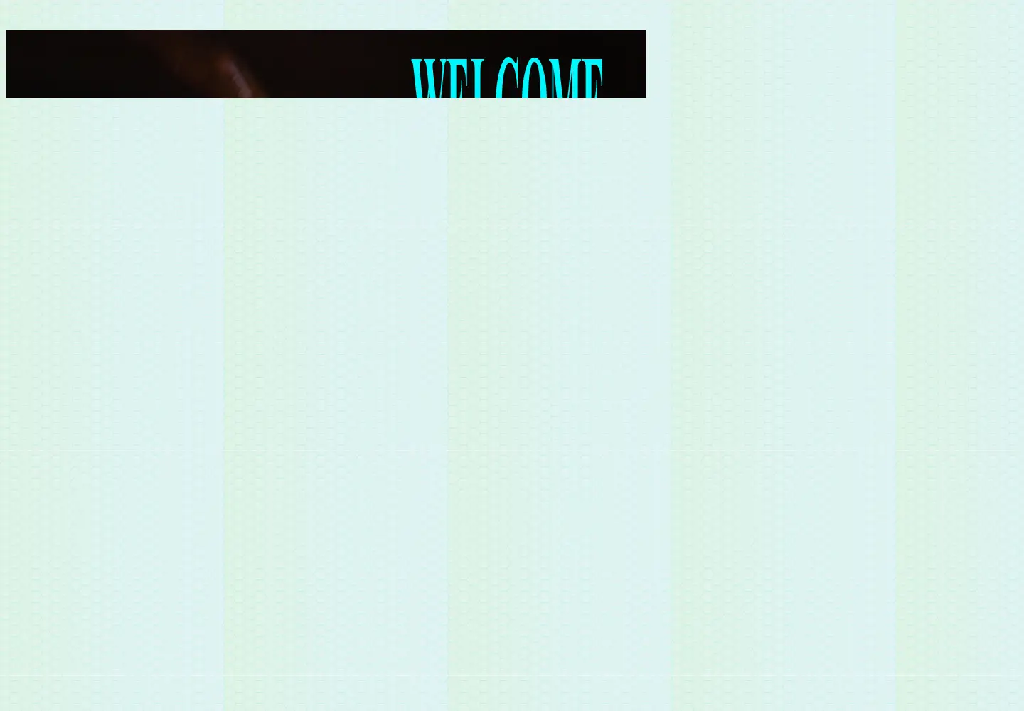 Screenshot of vespa-bicolor.net