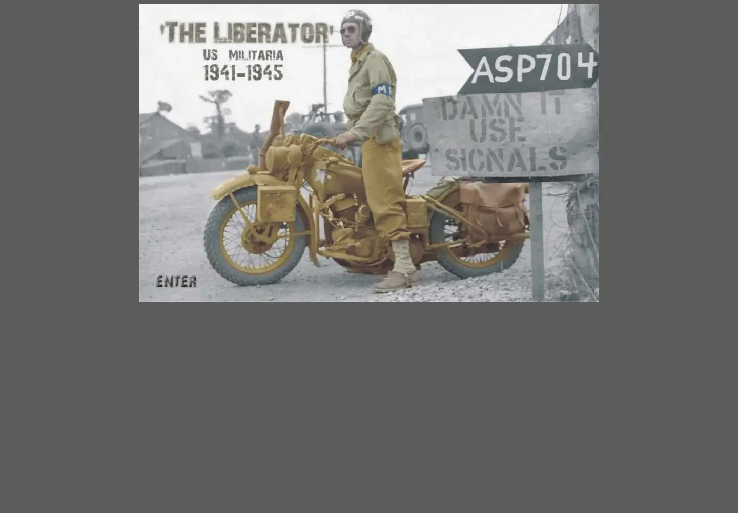 Screenshot of theliberator.be