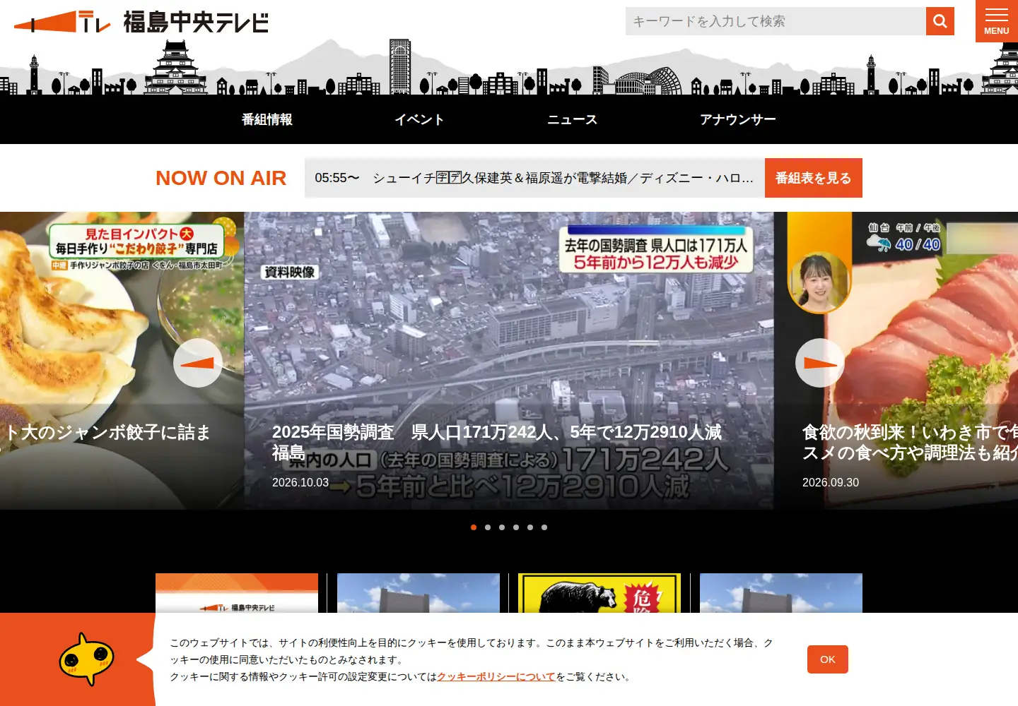 Screenshot of fct.co.jp
