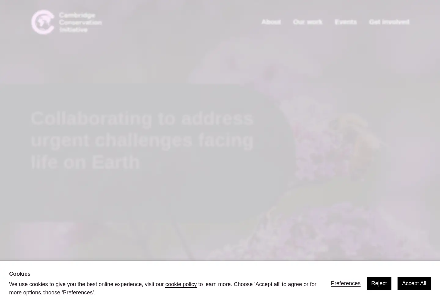 Screenshot of cambridgeconservation.org