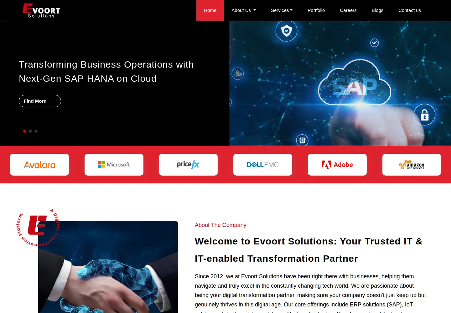 Screenshot of evoortsolutions.com