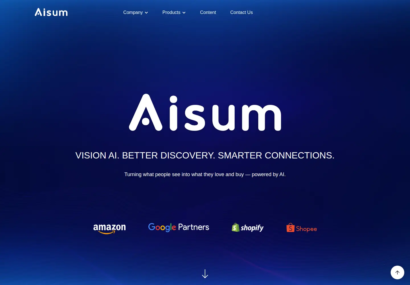 Captured homepage of aisum.com in the current scan