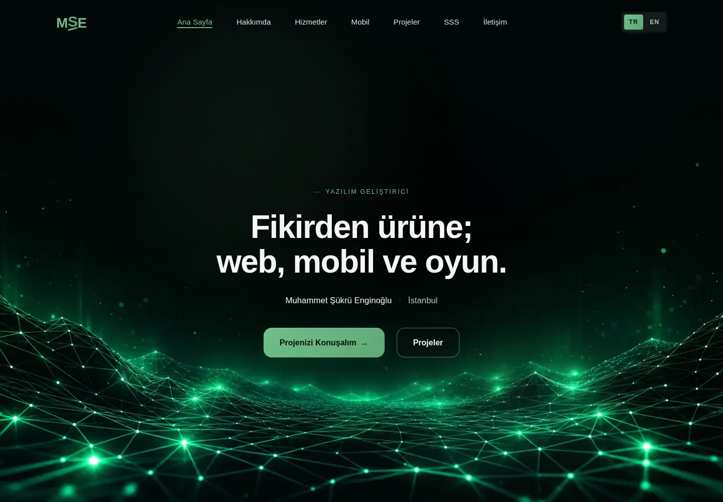 Screenshot of msenginoglu.com