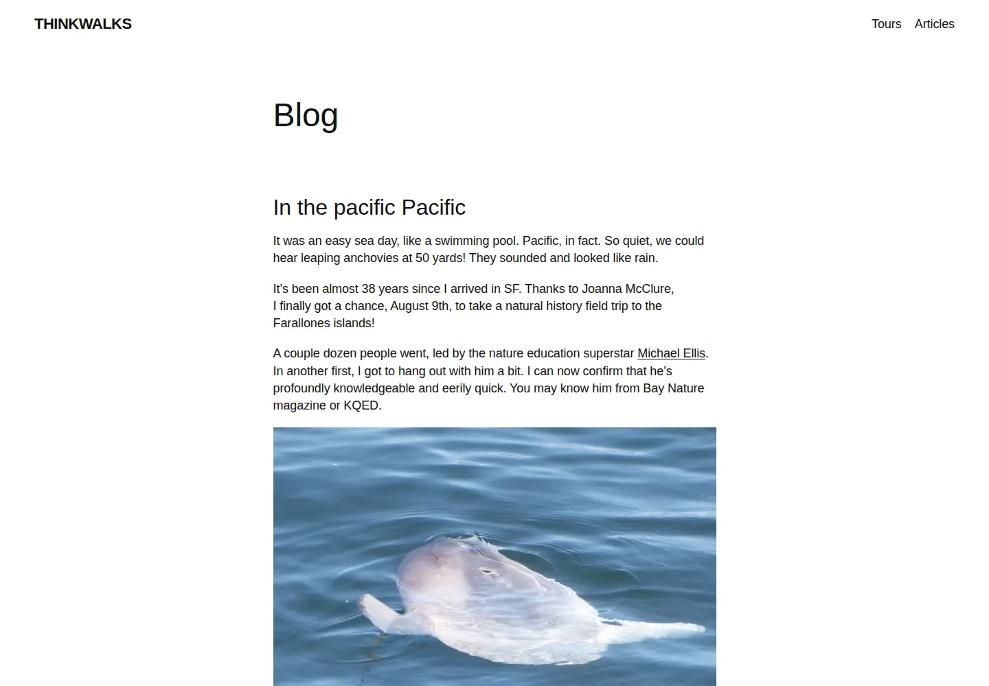 Captured homepage of thinkwalks.org in the current scan