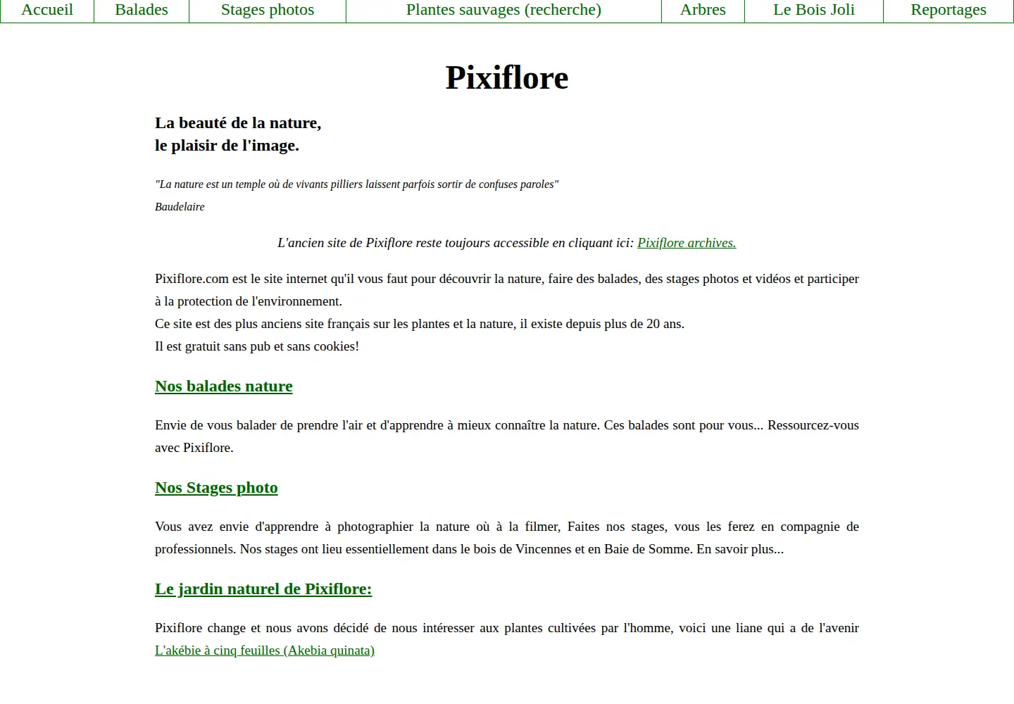 Captured homepage of pixiflore.com in the current scan