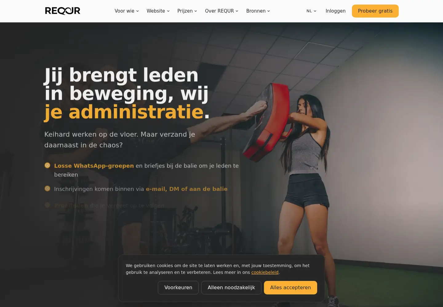 Captured homepage of requr.nl in the current scan