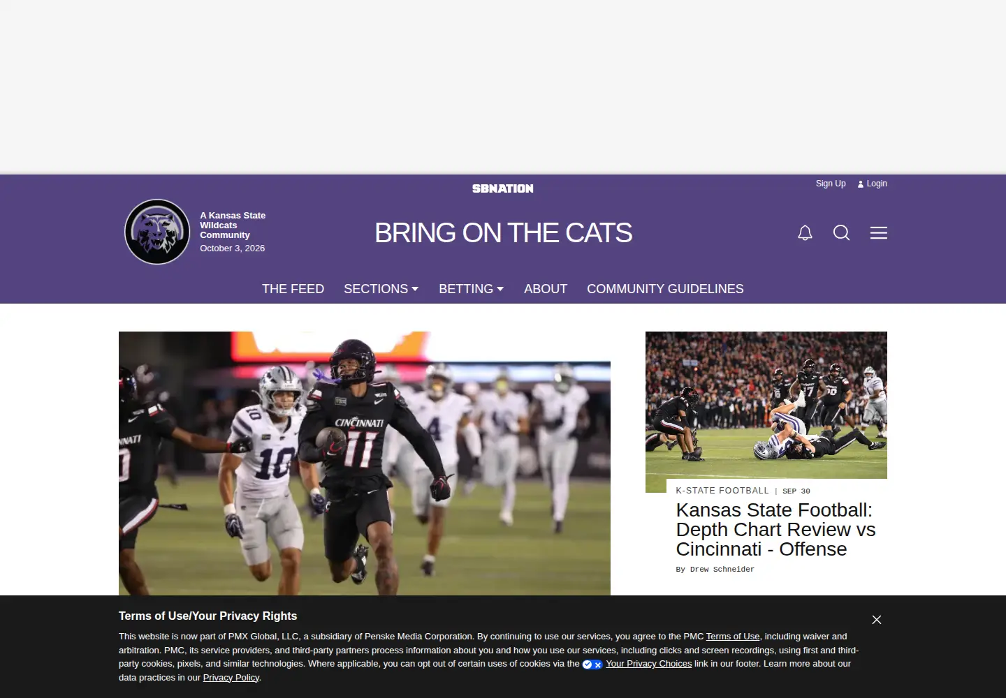 Screenshot of bringonthecats.com