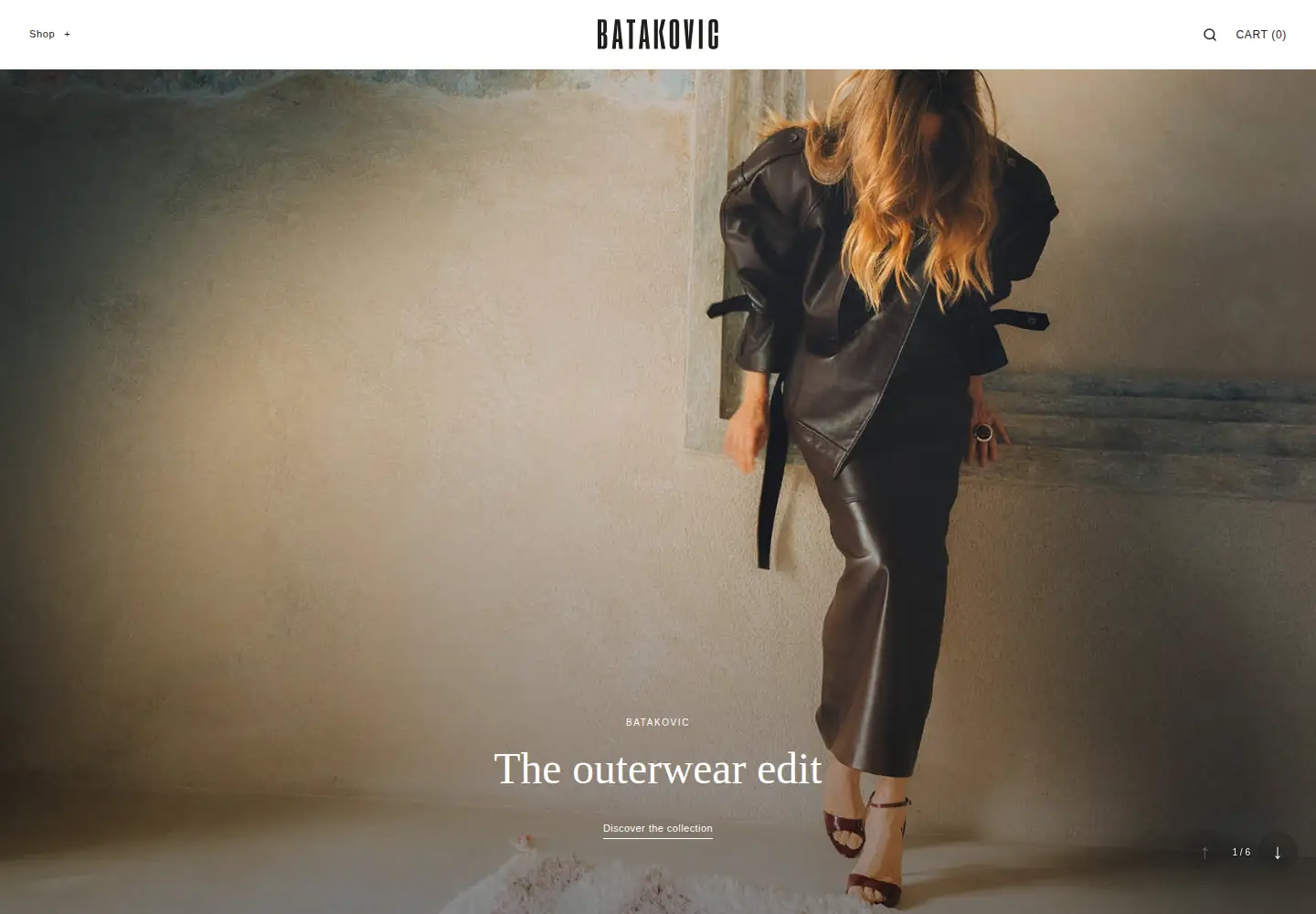 Captured homepage of batakovic.com in the current scan