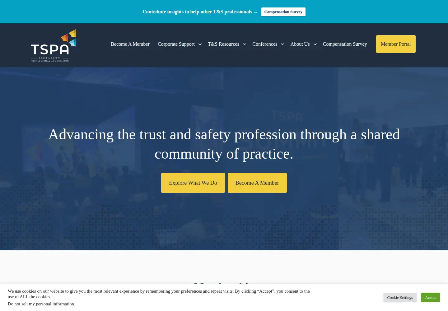 Captured homepage of tspa.org in the current scan