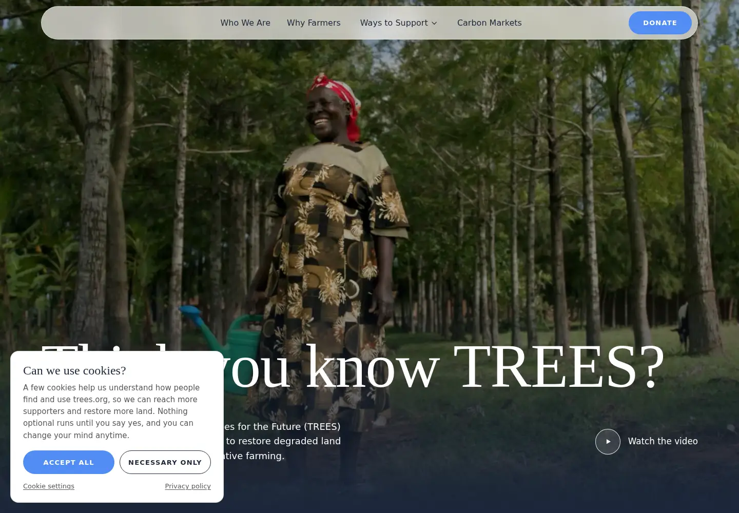 Captured homepage of treesftf.org in the current scan