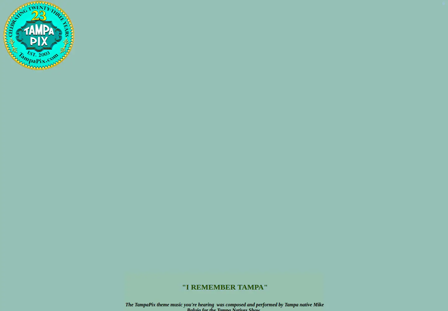 Screenshot of tampapix.com