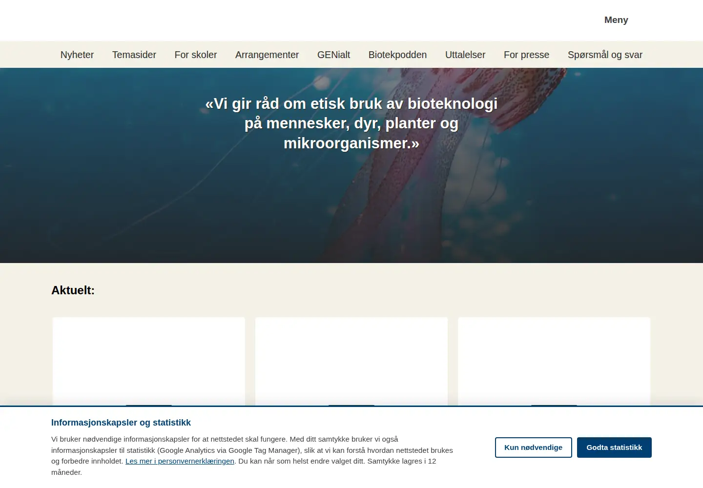 Captured homepage of bion.no in the current scan
