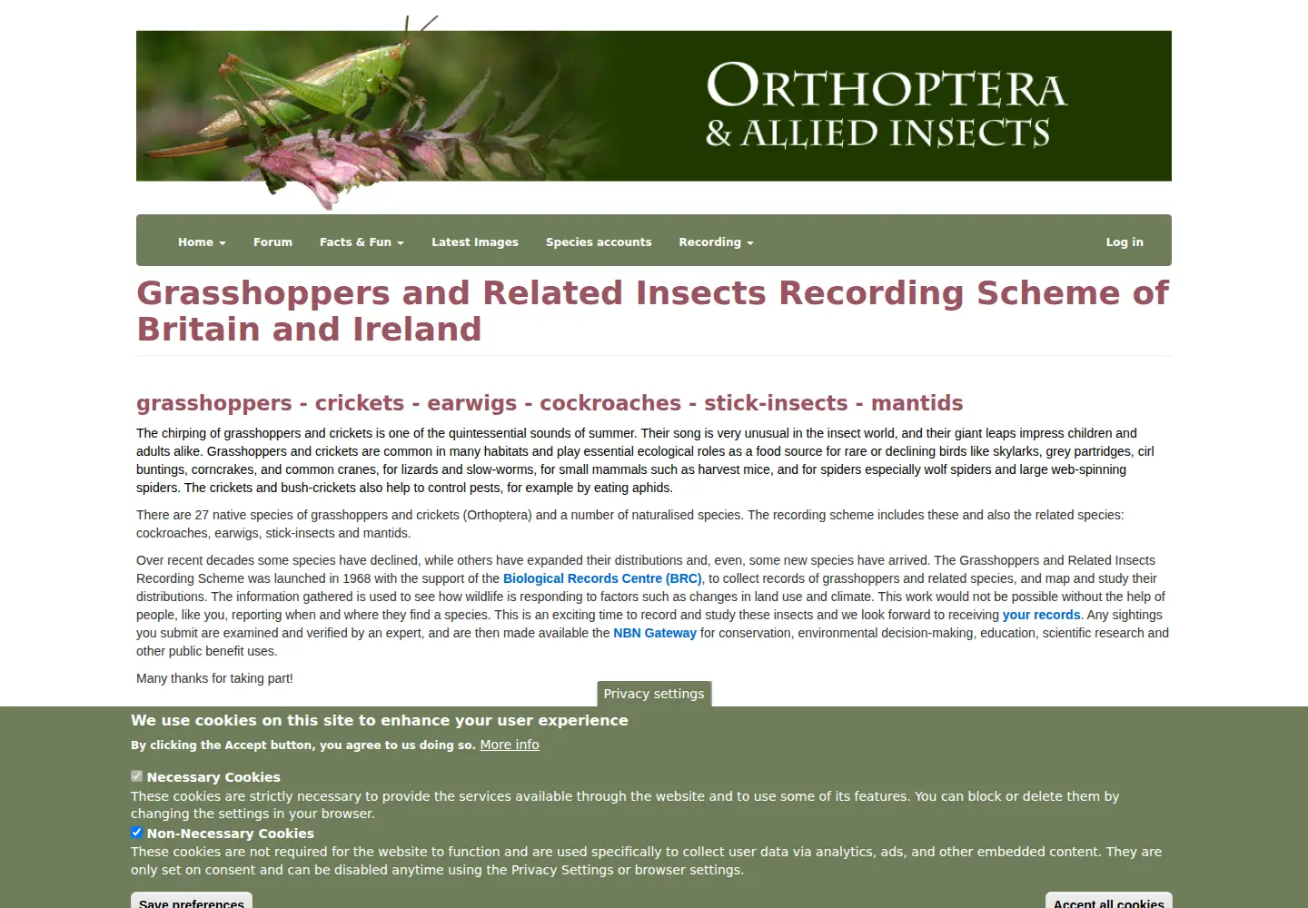 Captured homepage of orthoptera.org.uk in the current scan