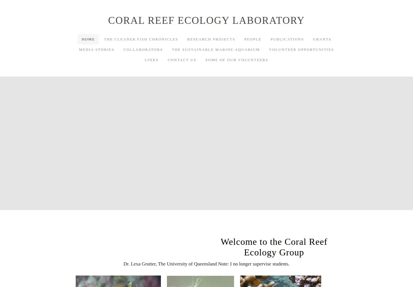Screenshot of lexagrutter.com