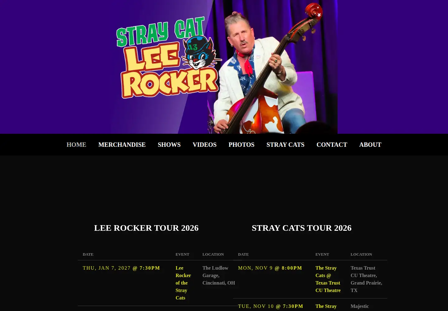 Screenshot of leerocker.com