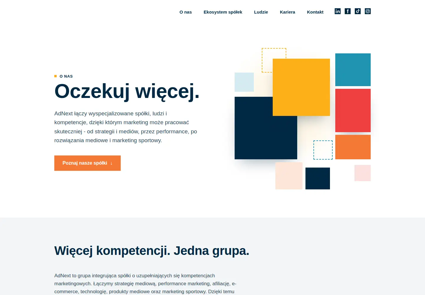 Captured homepage of adnext.pl in the current scan