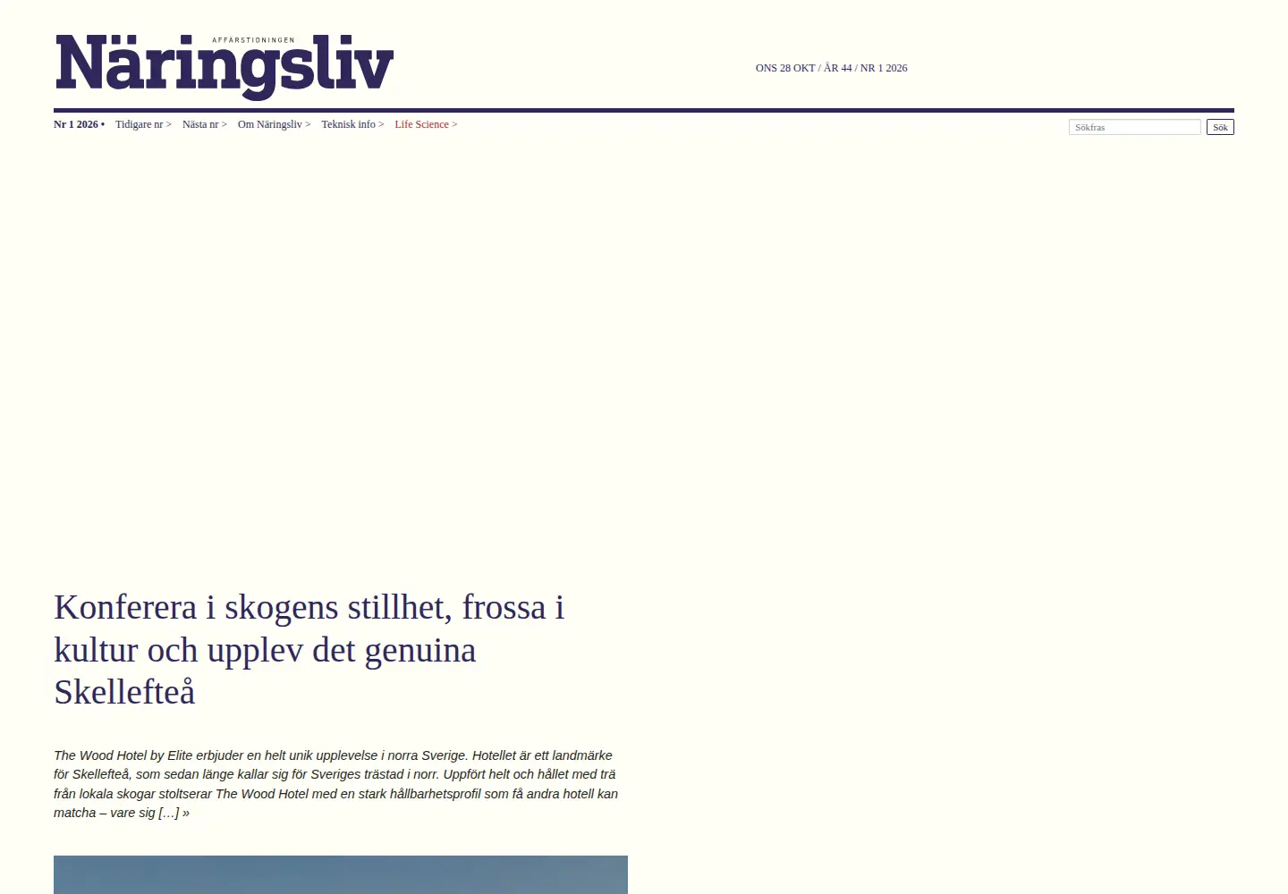 Screenshot of naringsliv.se