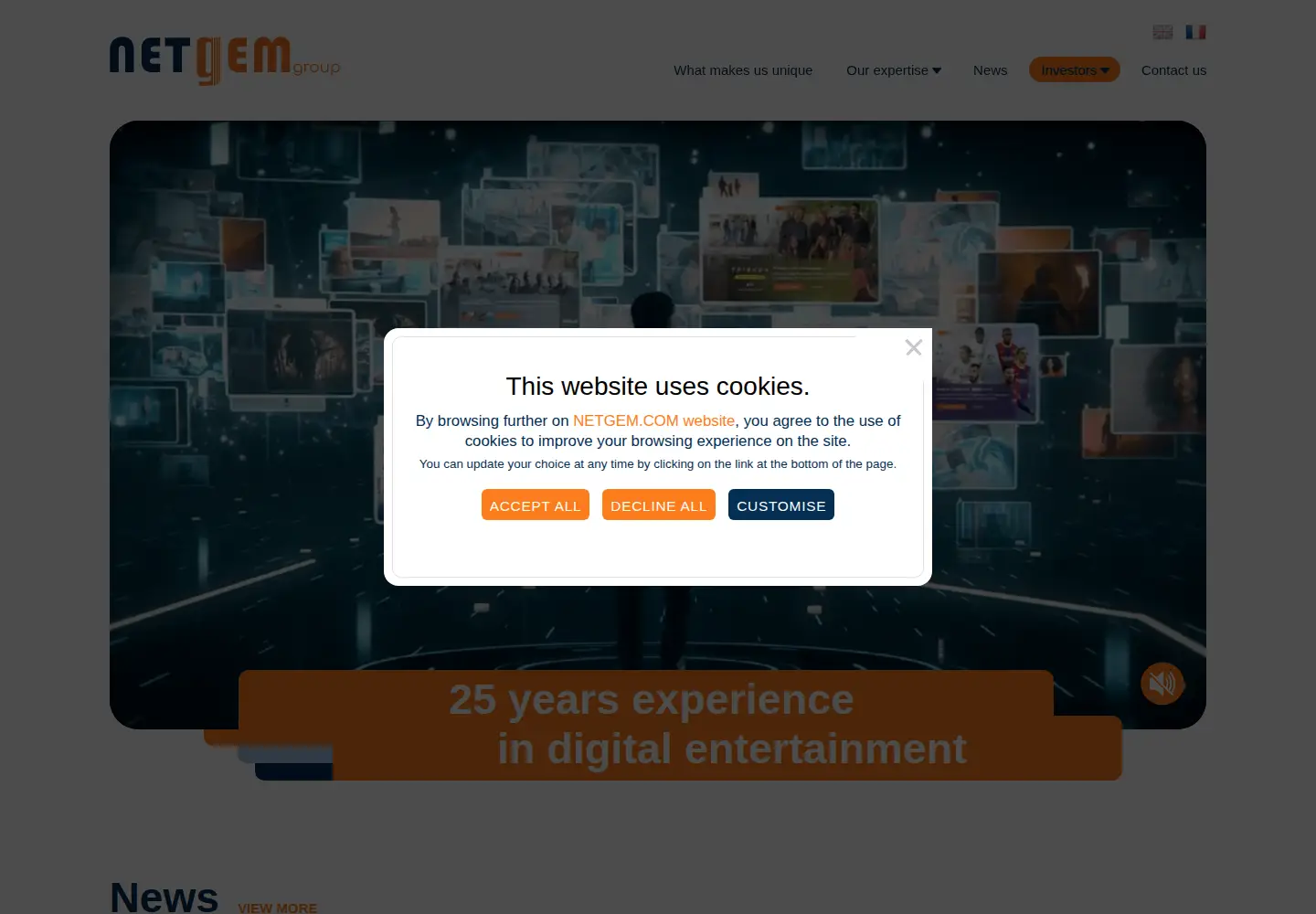 Screenshot of netgem.com