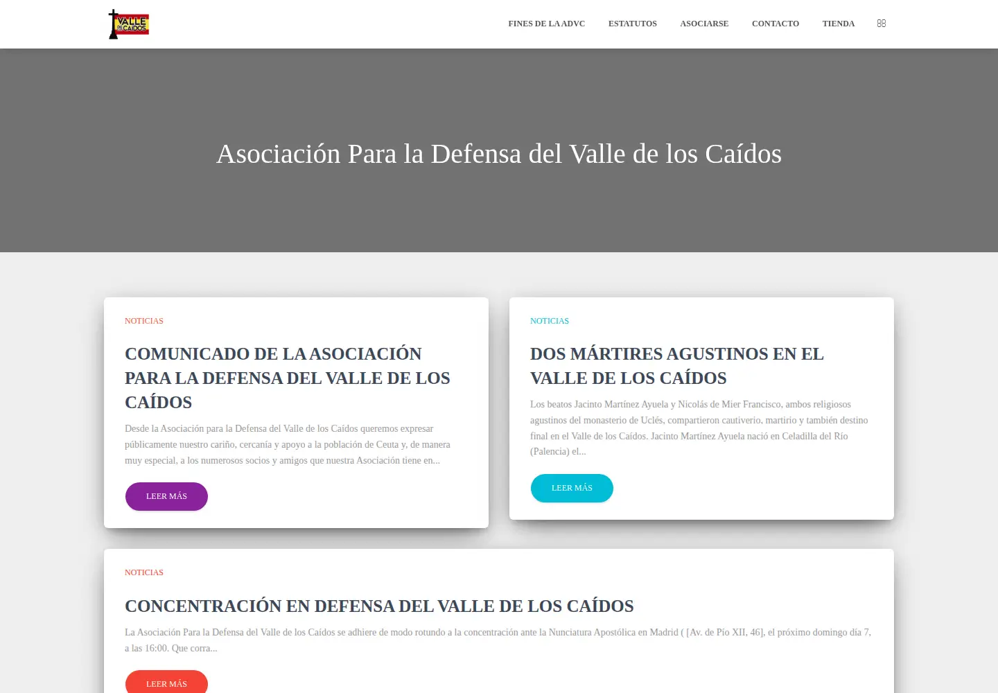 Captured homepage of elvalledeloscaidos.es in the current scan