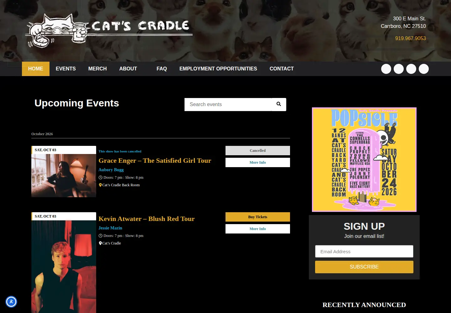 Screenshot of catscradle.com