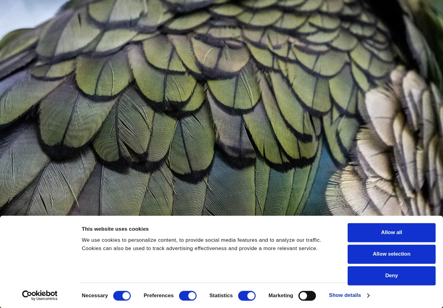 Captured homepage of nhnz.tv in the current scan