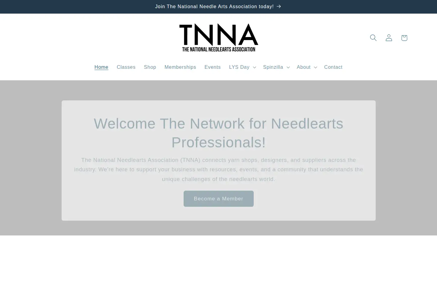 Screenshot of tnna.org