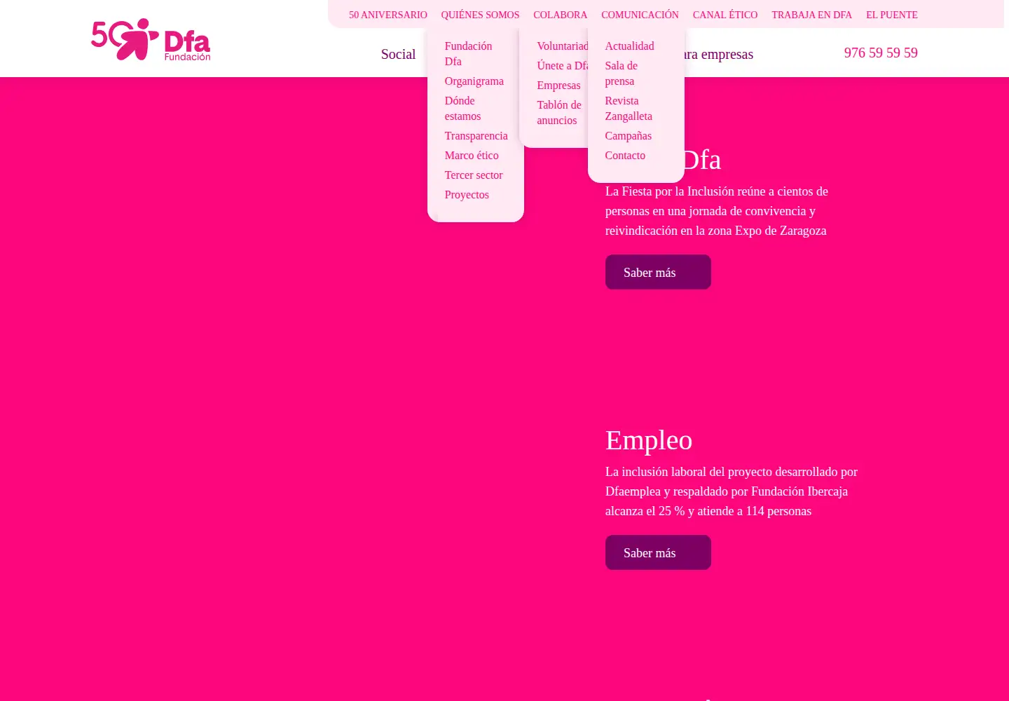 Captured homepage of fundaciondfa.es in the current scan