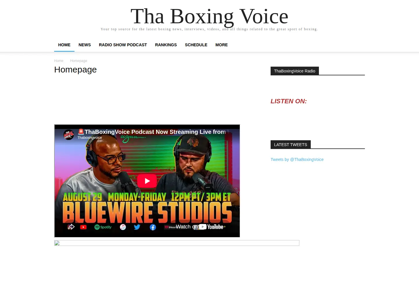 Captured homepage of thaboxingvoice.com in the current scan
