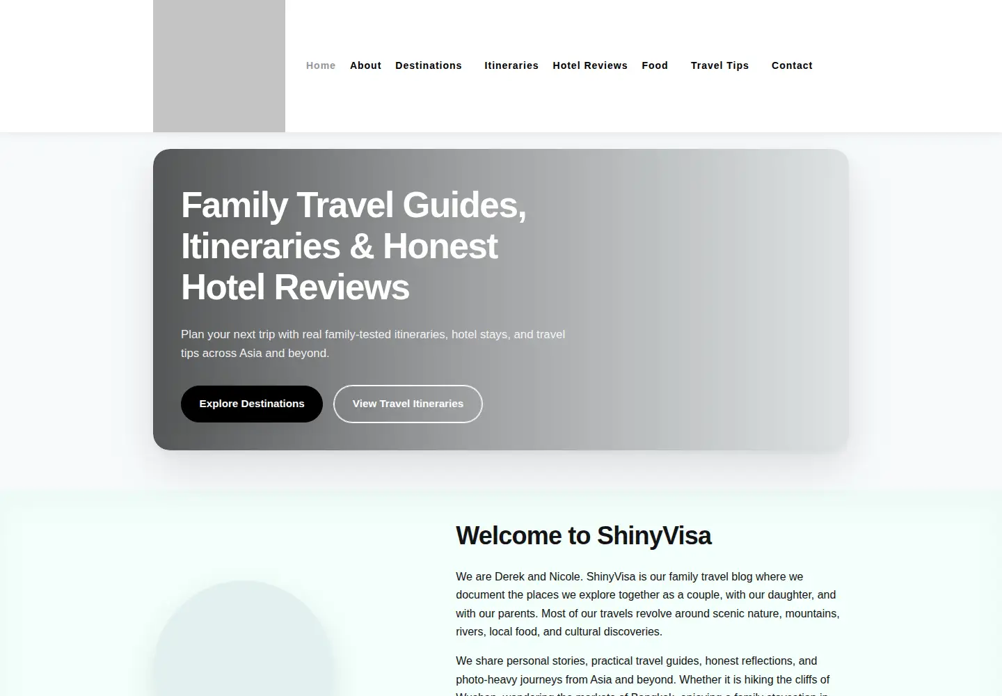 Captured homepage of shinyvisa.com in the current scan
