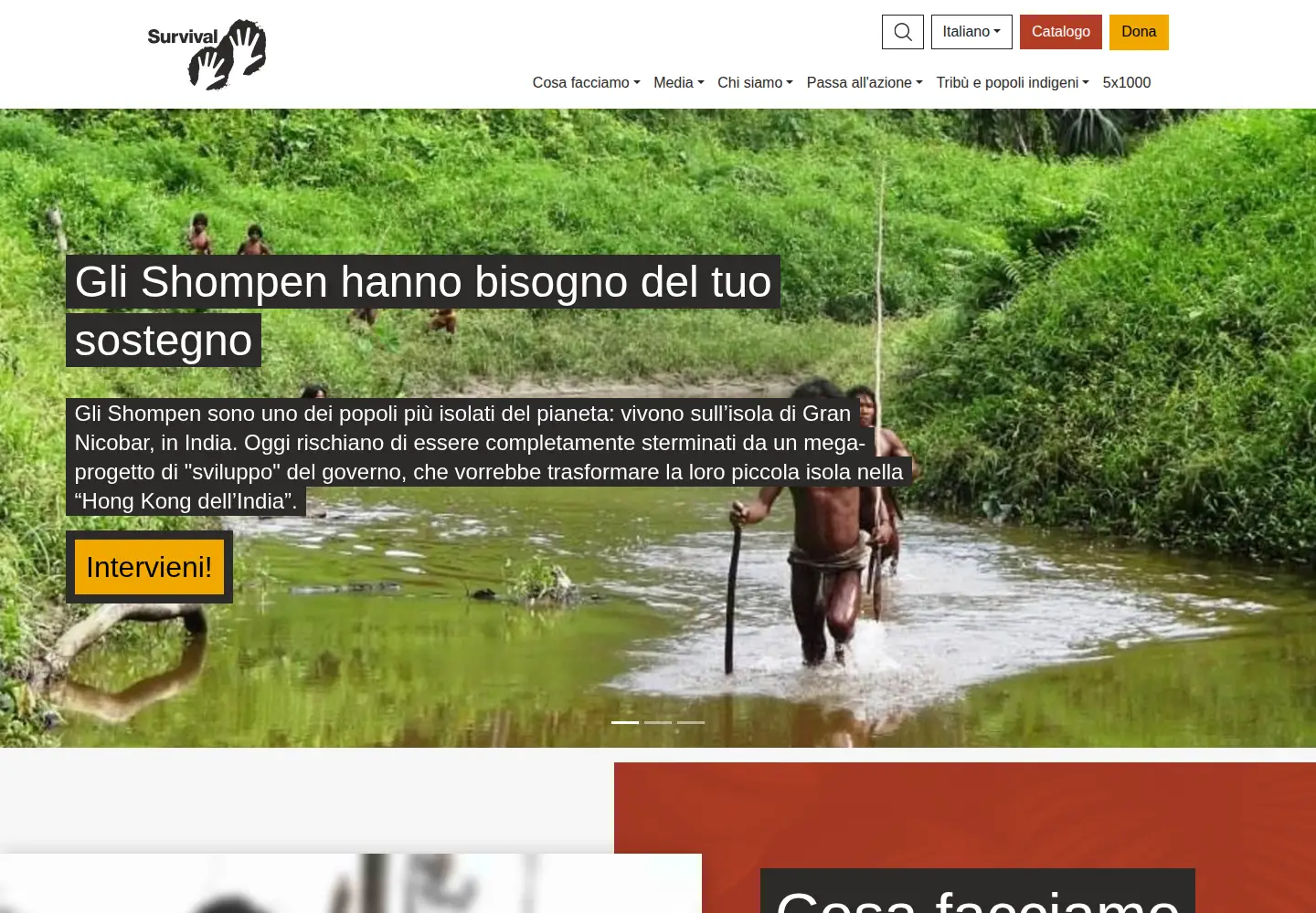 Screenshot of survival.it