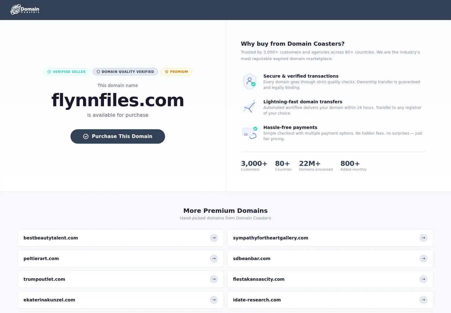 Captured homepage of flynnfiles.com in the current scan