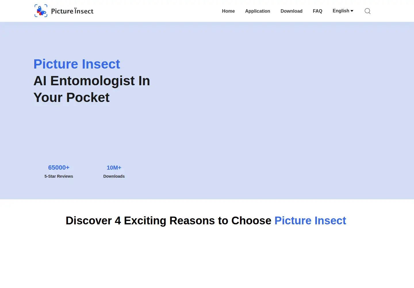 Screenshot of pictureinsect.com