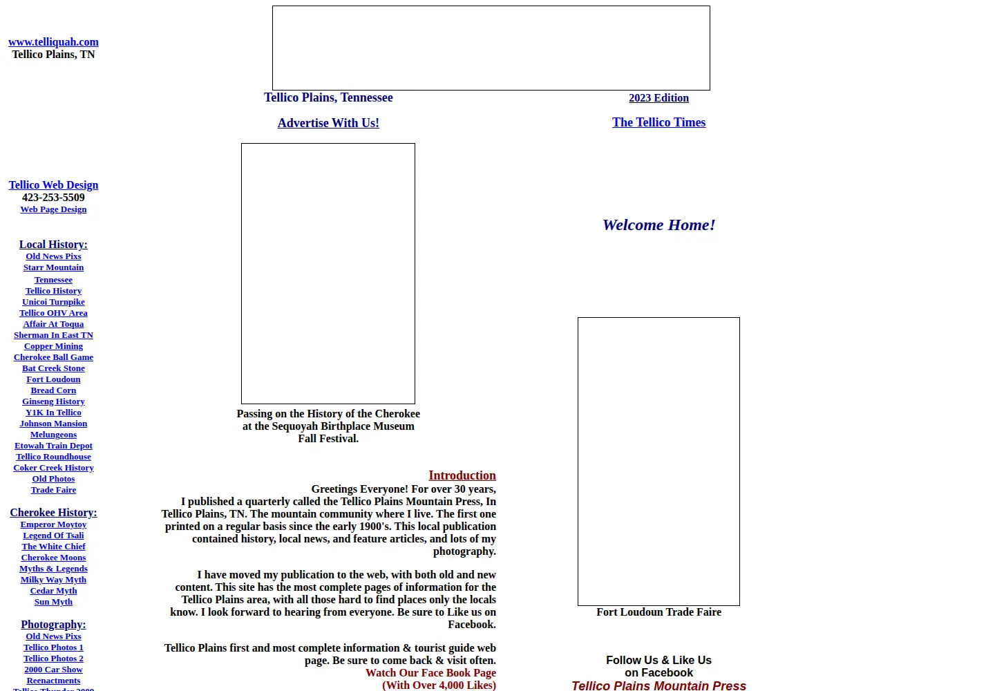 Screenshot of telliquah.com