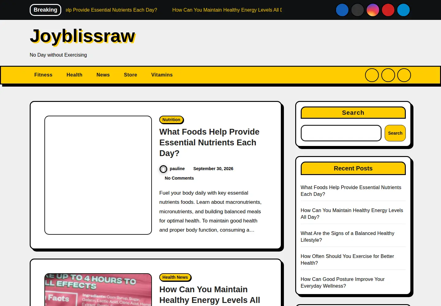 Captured homepage of joyblissraw.com in the current scan