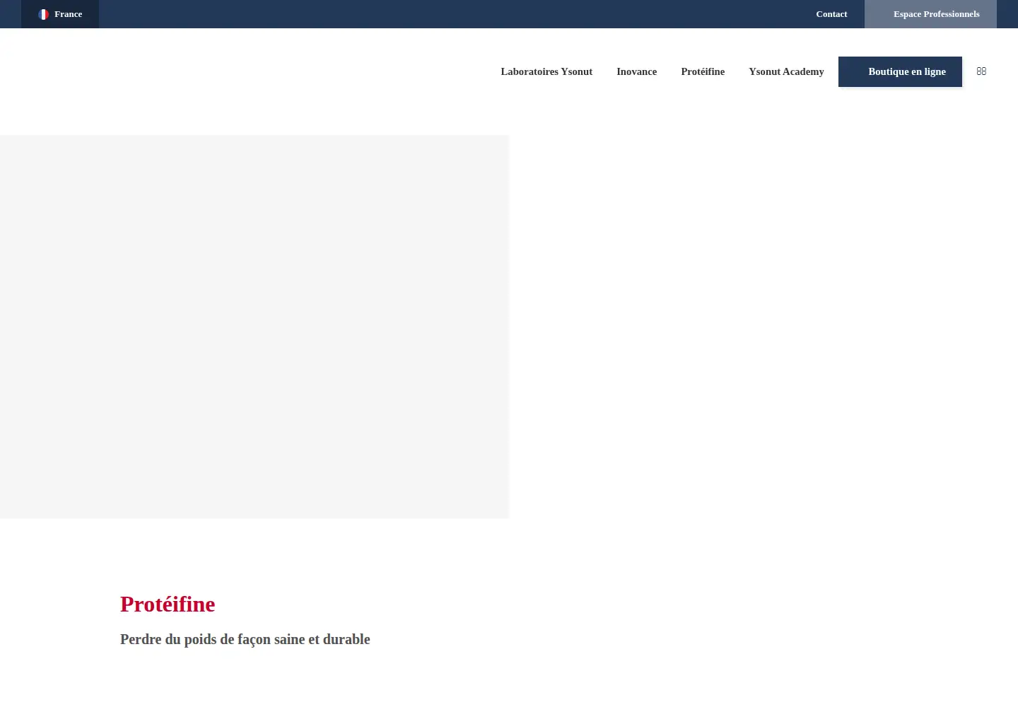 Captured homepage of ysonut.fr in the current scan