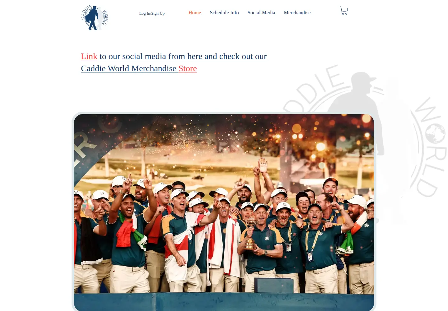 Screenshot of eurocaddies.com