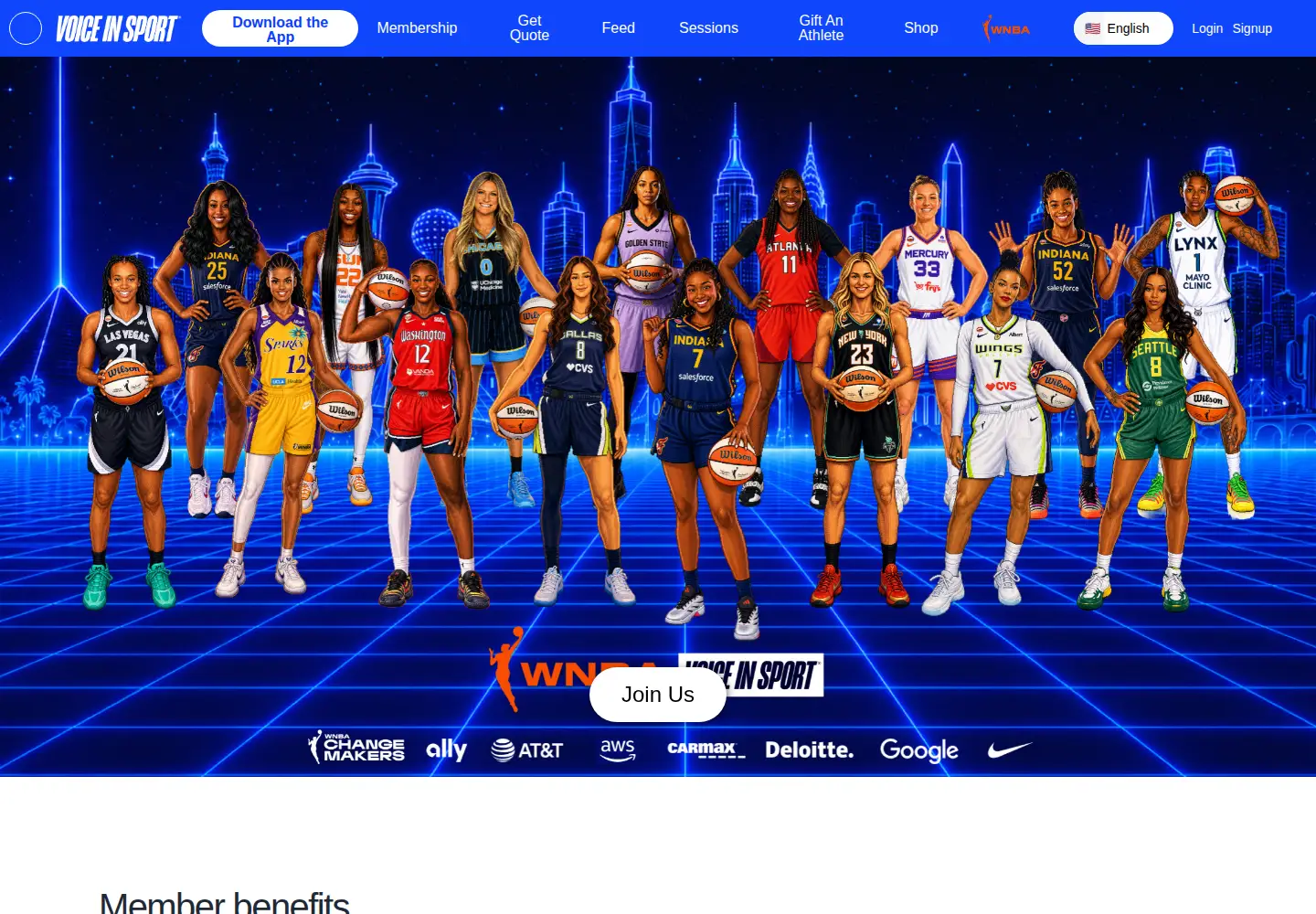 Captured homepage of voiceinsport.com in the current scan