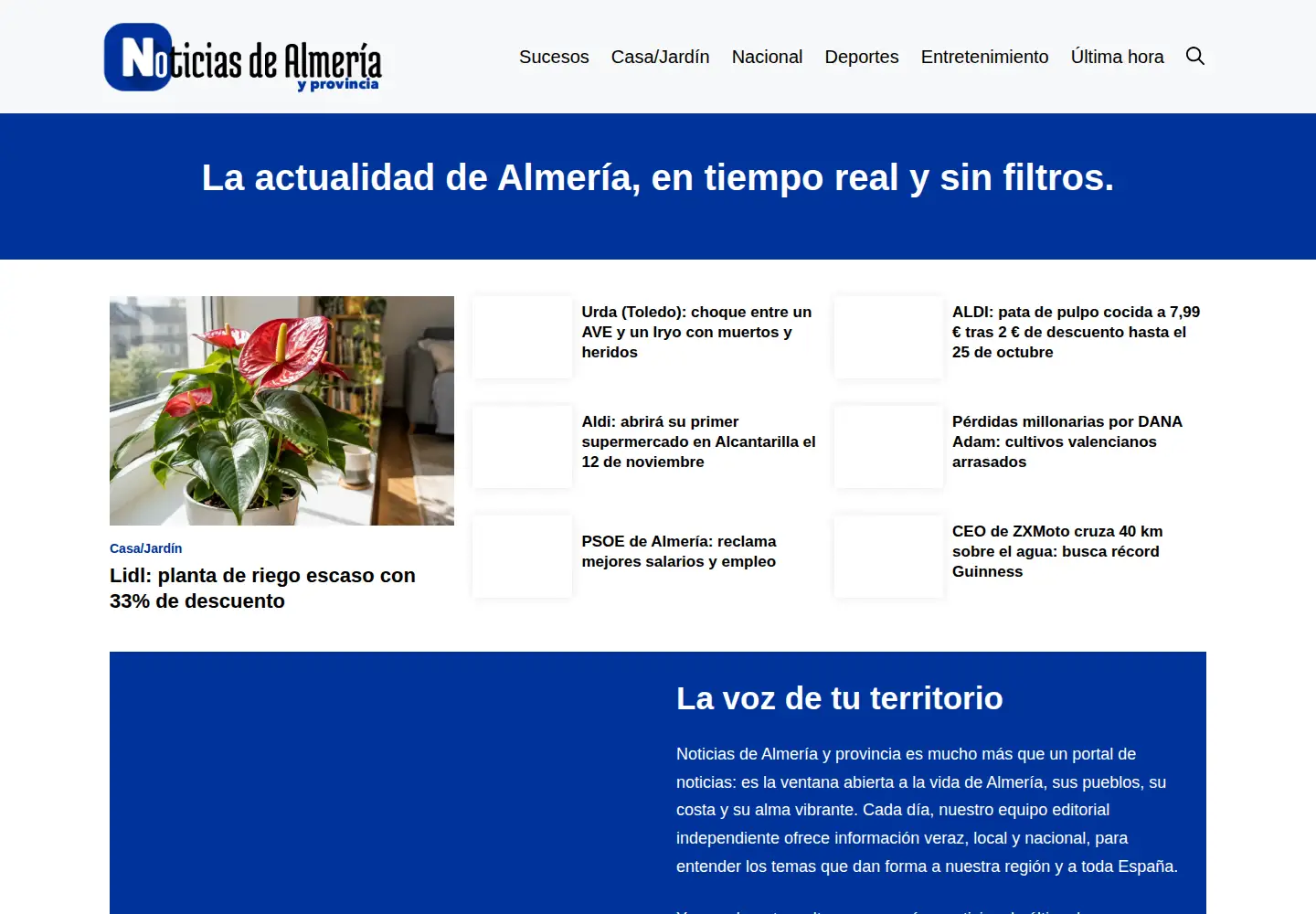 Screenshot of telealmerianoticias.es