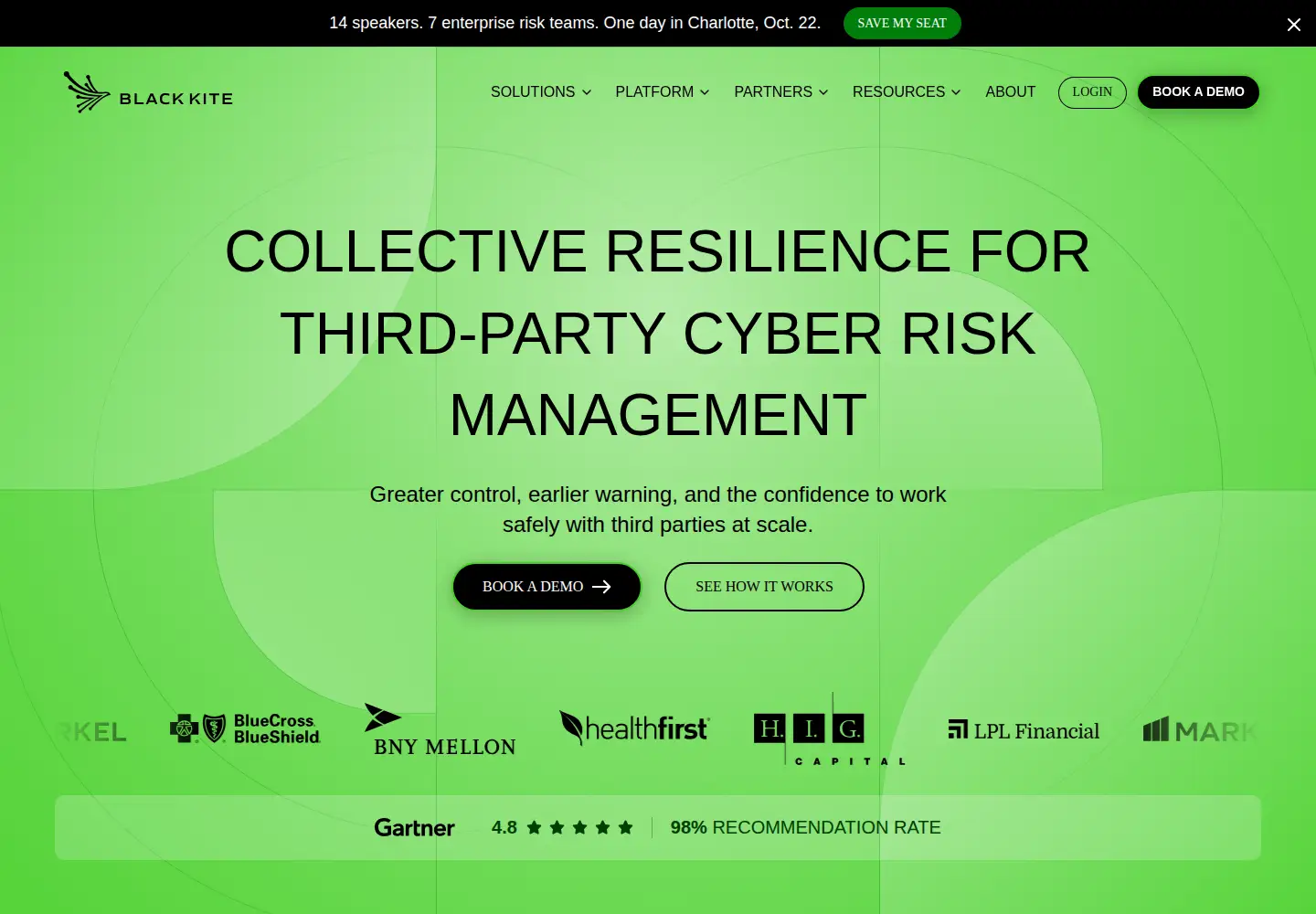 Screenshot of blackkite.com