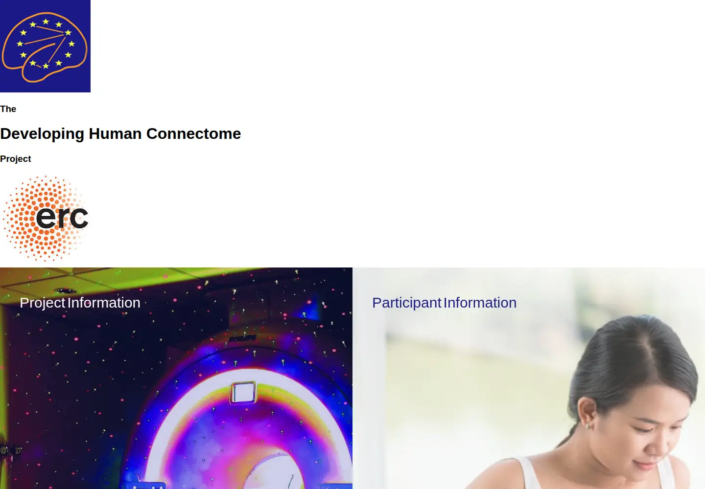 Screenshot of developingconnectome.org