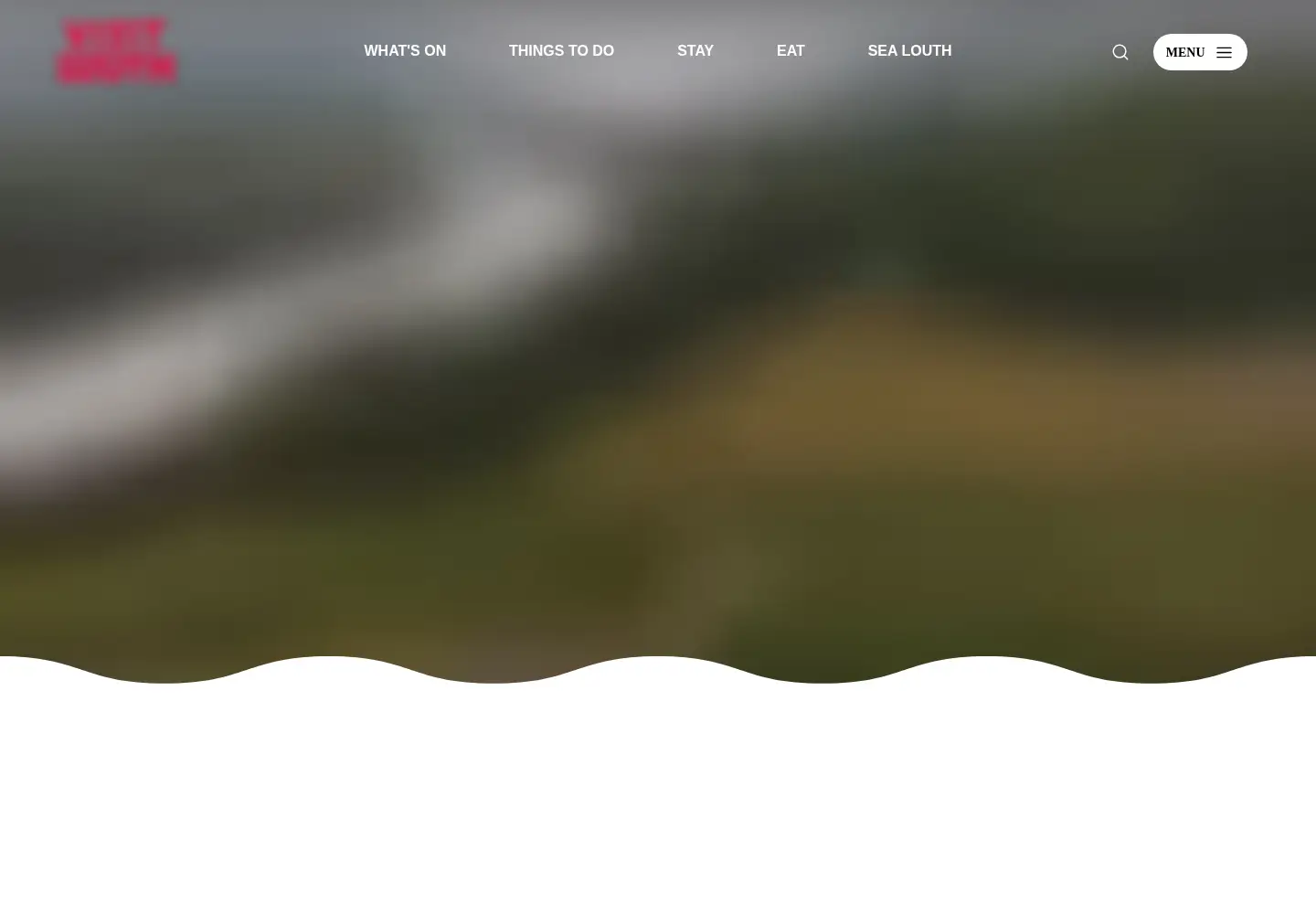 Screenshot of visitlouth.ie