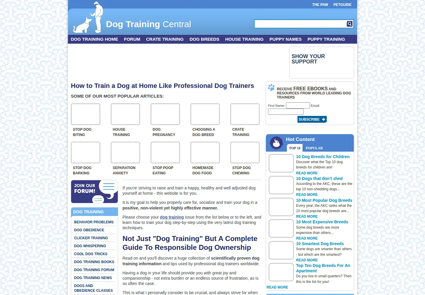 Captured homepage of dog-obedience-training-review.com in the current scan