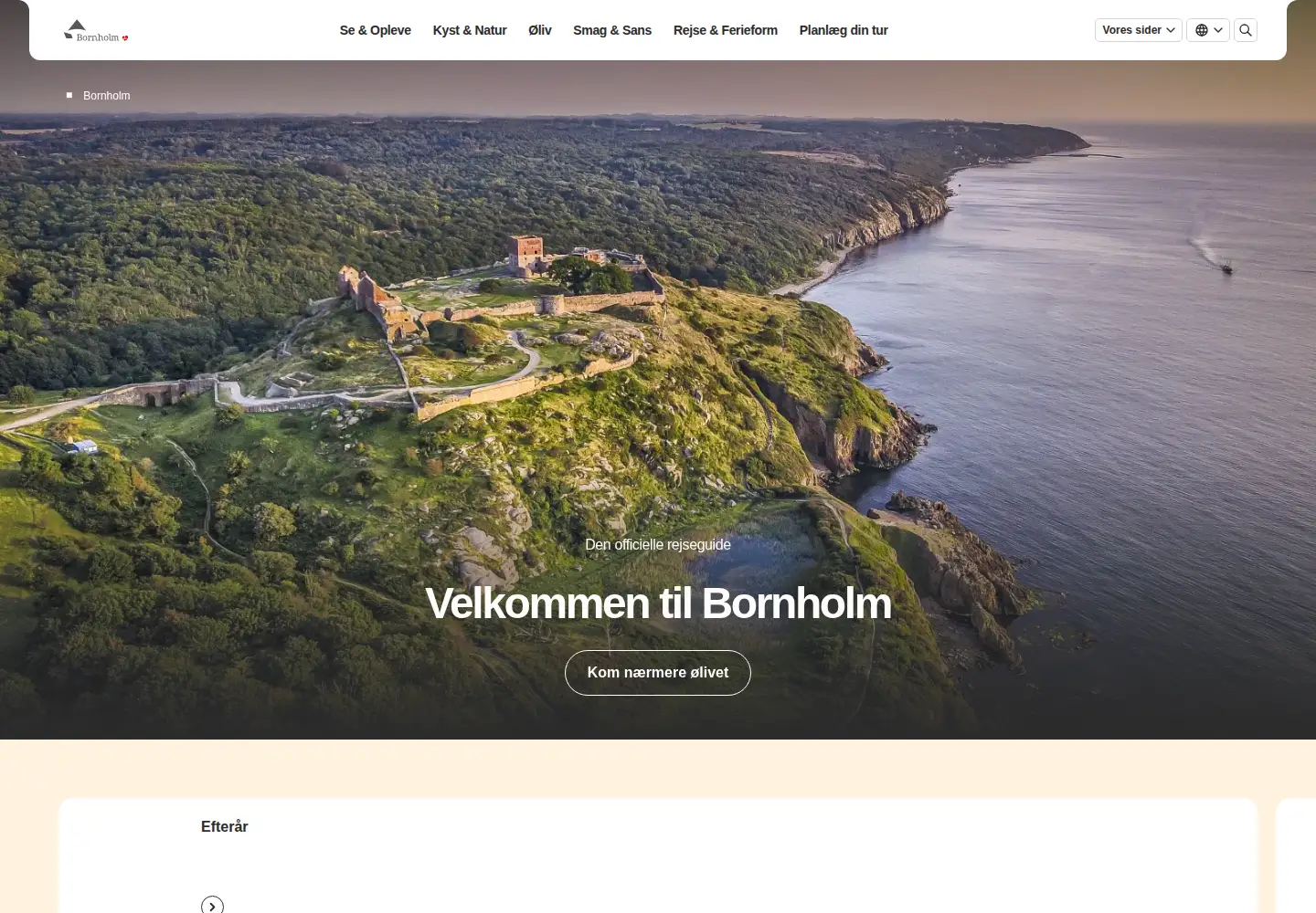 Screenshot of bornholminfo.dk
