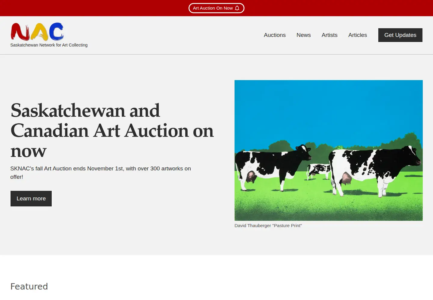 Screenshot of sknac.ca