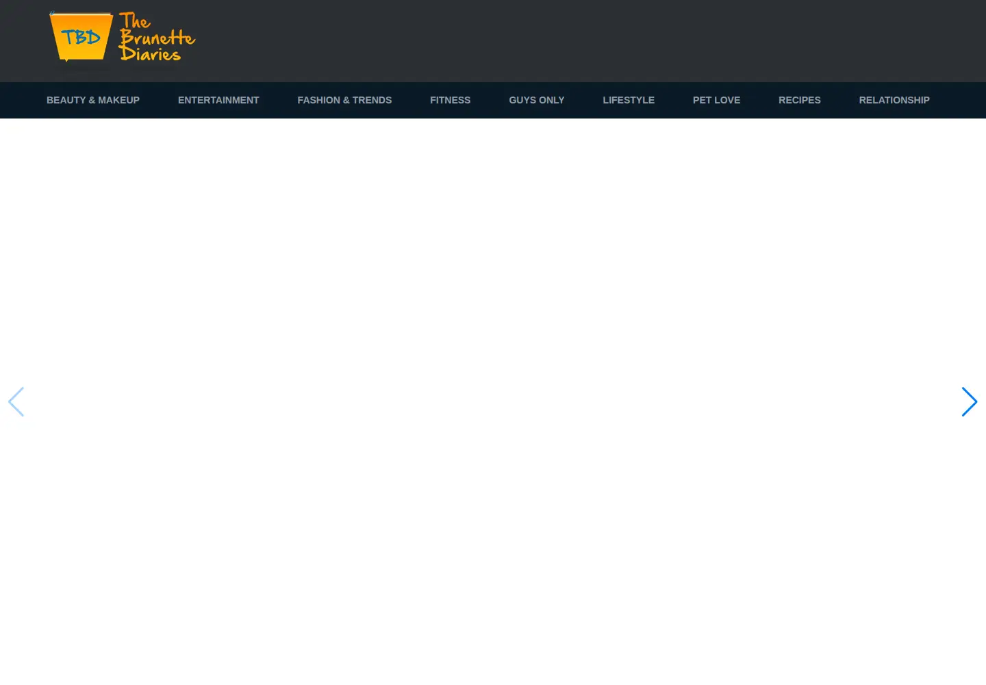 Captured homepage of thebrunettediaries.com in the current scan