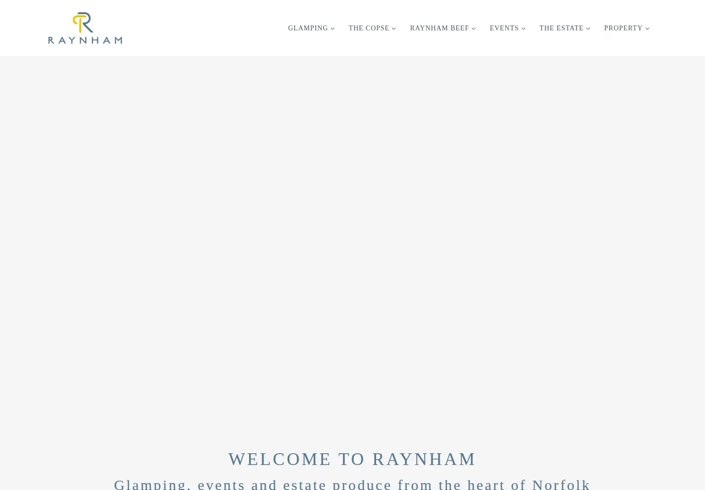 Screenshot of raynham.co.uk